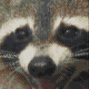 May include: A pixelated image of a raccoon's face, with a black nose, dark eyes, and a grey and white face. The raccoon's mouth is slightly open, showing a pink tongue. The background is a blend of greens and browns.