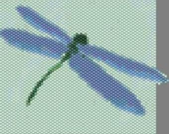 May include: A blue dragonfly with green wings and a long, thin tail. The dragonfly is on a light green background.