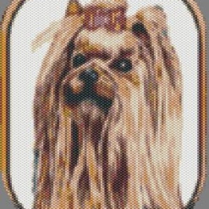 May include: A brown and tan Yorkshire Terrier dog with long hair, wearing a pink bow on its head. The dog is looking directly at the viewer.