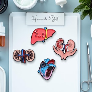 Liver, Heart, kidney Anatomy Enamel Pin / Human Organs Medical Pin Badge / Science Lover Accessories / Gift for Doctor Nurse