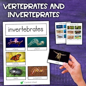 Vertebrates & Invertebrates Sorting Activity | Cards and Control Chart | Animals Classification Activity
