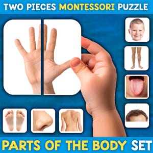 Puede incluir: Conjunto de rompecabezas Montessori de dos piezas que presenta diferentes partes del cuerpo humano. Las piezas del rompecabezas muestran una mano, pies, nariz, espalda, cabeza, piernas y lengua.