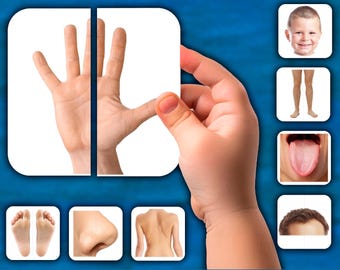 Body Parts Matching Activity | Montessori Body Parts 2-Pieces Puzzle Game | Parts of the Body Activity for Toddlers