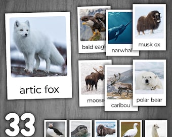Arctic Animals Flashcards | Montessori 3-Part Cards | Real Pictures | Animals of the Arctic | Snow Animals flashcards