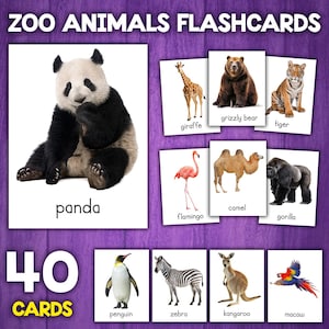 Zoo Animals Vocabulary Flashcards | Real Picture Cards | Zoo Animals Montessori 3-Part Cards