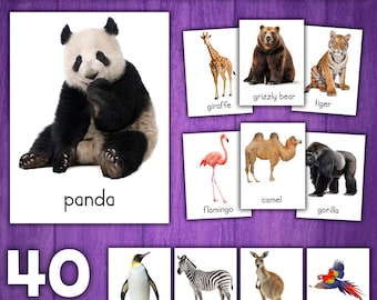 Schede didattiche con vocabolario sugli animali dello zoo / Schede con immagini reali / Schede Montessori in 3 parti sugli animali dello zoo