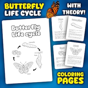 Butterfly Life Cycle Coloring Pages | Life cycle of Butterfly Coloring Sheets | Animals Life Cycles for Coloring