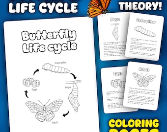 Butterfly Life Cycle Coloring Pages | Life cycle of Butterfly Coloring Sheets | Animals Life Cycles for Coloring