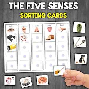 The Five Senses | 5 Senses Sorting Matching Activity | Five Senses Sorting Game | Montessori Activity