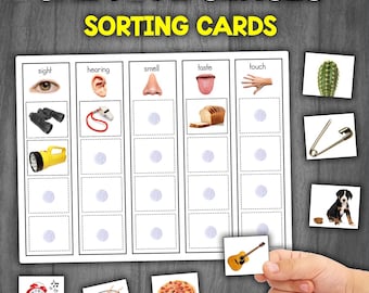 The Five Senses | 5 Senses Sorting Matching Activity | Five Senses Sorting Game | Montessori Activity