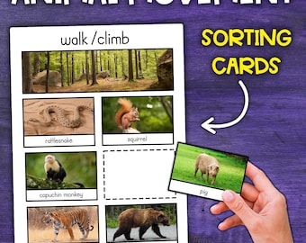 Animal Movement (Walk, Swim, Fly) Animal Montessori Sorting Cards Control Chart | Animal Montessori Activity