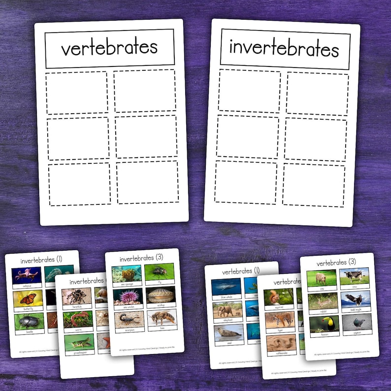 Vertebrates & Invertebrates Sorting Activity | Cards and Control Chart ...