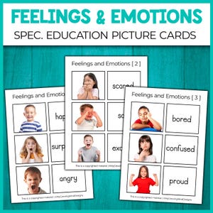 Identifying Feelings & Emotions Activity | Word Picture Match | Special Education, Speech Therapy and Autism Activities