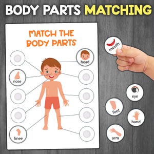 Body Parts Matching Activity | Parts of the Body for Preschool and Toddlers | Busy Book | Learning Body Parts, Printable Activity