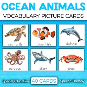 Ocean Animals Vocabulary Picture Cards| Autism Visuals Speech Therapy Flashcards Special Education Cards