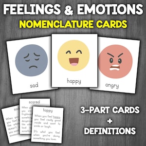 Feelings & Emotions Flashcards | With DEFINITIONS | Zones of Regulation Cards | Socio Emotional Learning Cards