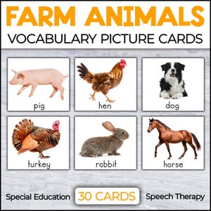 Farm Animals Picture Cards Flashcards | Autism Visuals Speech Therapy Special Education | Farm Animals Vocabulary Real pictures