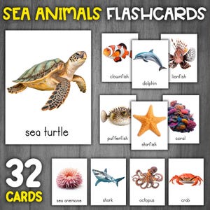 Flashcards animaux de l'océan | Flashcards d'animaux marins | Images réelles | Cartes Montessori en 3 parties | Vocabulaire Animaux marins