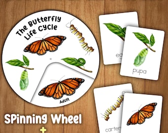 Butterfly Life Cycle Activity for Kids | Butterfly Craft Printable | Life Cycle of a Butterfly | Spinning Wheel | Animals Life Cycle for Kid
