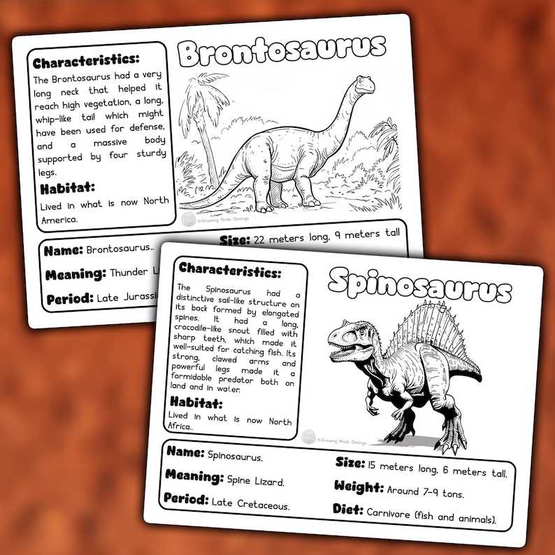 May include: Black and white line art illustrations of two dinosaurs, Brontosaurus and Spinosaurus. The illustrations include information about each dinosaur, such as their size, meaning, period, and habitat.