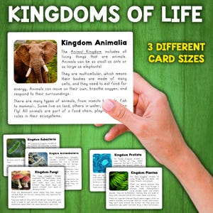 De zes koninkrijken van het leven | Informatiekaarten | Leesactiviteit Life Kingdoms | Activiteit wetenschapsbiologie voor kinderen