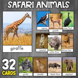 Flashcards animaux de safari | Images réelles | Cartes Montessori en 3 parties | Animaux de la savane | Flashcards sur les animaux d'Afrique