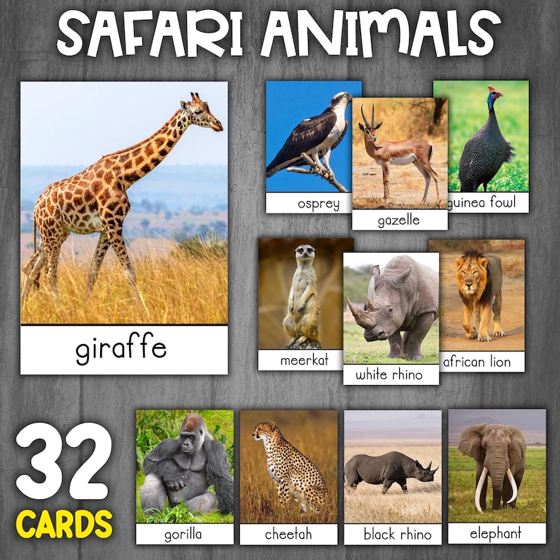 Safaridjur-kort | Verkliga bilder | Montessorikort i 3 delar | Savanndjur | Afrikanska djur-kort bild 1
