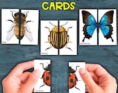Bugs and Insects Matching Cards | Symmetry Montessori Activity | Symmetry cards | Game for Toddlers and Preschoolers, Busy Book, Busy Bags
