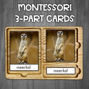 Safaridjur-kort | Verkliga bilder | Montessorikort i 3 delar | Savanndjur | Afrikanska djur-kort bild 4