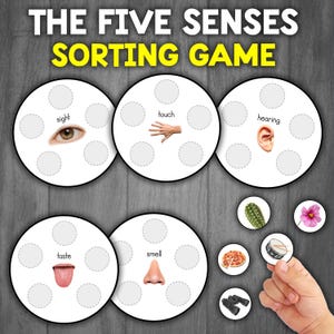 Five Senses Sorting Activity | 5 Senses Matching Activity | Preschool Activity Busy Bag