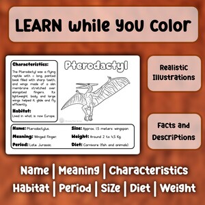 May include: A black and white line drawing of a Pterodactyl, a flying reptile with a long pointed beak and large wings. The image is part of a printable educational coloring page with facts about the Pterodactyl, including its name, meaning, period, size, weight, diet, and habitat. The text "LEARN while you color" is at the top of the page.