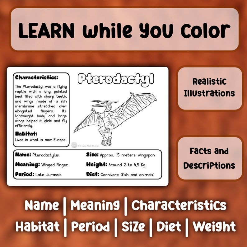May include: A black and white line drawing of a Pterodactyl, a flying reptile with a long pointed beak and large wings. The image is part of a printable educational coloring page with facts about the Pterodactyl, including its name, meaning, period, size, weight, diet, and habitat. The text "LEARN while you color" is at the top of the page.