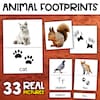 School Objects Vocabulary Flashcards Classroom Objects Vocabulary ...