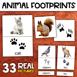 Animal Tracks Matching Cards | Animal Footprints Matching Cards | Montessori Inspired Material | Animals Montessori Activity