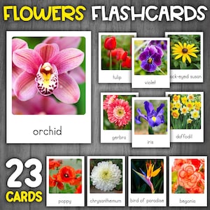 Tipos de Flashcards de Flores | Fotos reais | Cartões Montessori de 3 partes | Cartões de nomenclatura de vocabulário de flores