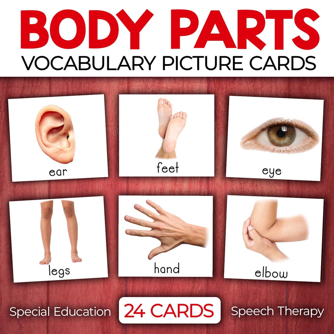 Body Parts Vocabulary Flashcards Picture Cards for Special Education ...