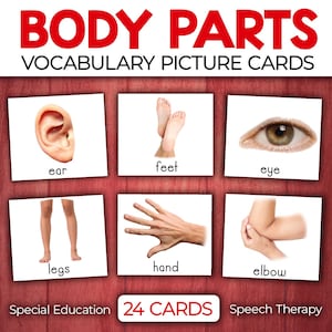 Vocabulaire des parties du corps Cartes illustrées pour l'orthophonie pour l'éducation spécialisée Visuels pour l'autisme | Cartes Besoins spéciaux