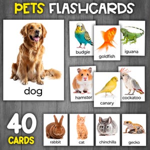 Tarjetas didácticas sobre mascotas / Imágenes reales / Tarjetas Montessori de 3 partes / Tarjetas didácticas sobre mascotas y animales
