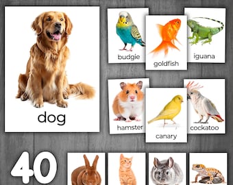 Pets Flashcards | Real Pictures | Montessori 3-Part Cards | Pets & Animals Flashcards