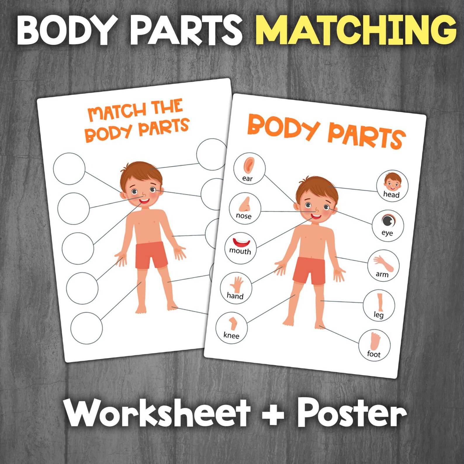 Body Parts Matching Activity | Parts of the Body for Preschool and ...