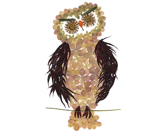 Hoot - Owl Art Print made from Pressed Flowers - Botanical Note Card
