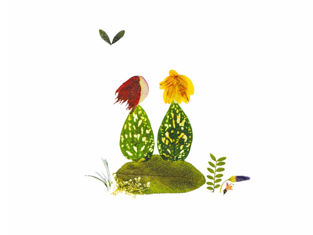 Double Side Floral main image 0