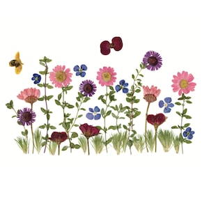 PRATO - Stampa botanica di fiori ed erbe aromatiche dal giardino - Arte con fiori pressati, fiori selvatici, campo di fiori, farfalla, calabrone