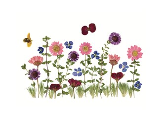 Botanical Notecard Print: Pressed Flower Meadow Art - Fleabane, Daisy & Roses