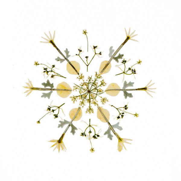 Kaart met geperste bloem sneeuwvlok: botanische kunstprint, wintervakantie