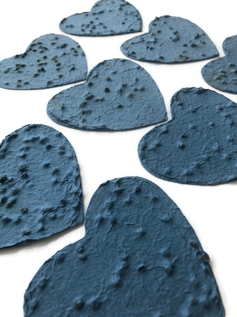 Sympathy gift Plantable paper heart in blue, made of handmade paper & Chinese Forget-Me-Not seeds Memorial favor, prayer card, funeral image 2