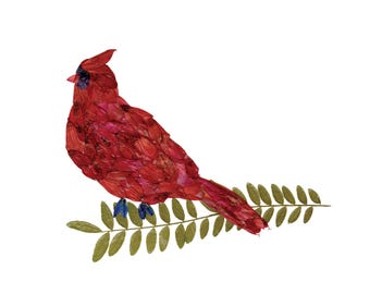 Pressed Flower Cardinal Art Print - Botanical Greeting Card