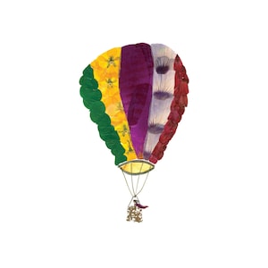 O CÉU É O LIMITE - Arte com flores prensadas de um balão de ar quente, Arte botânica, Cartão de jardim para formatura, novo emprego, divórcio, aposentadoria