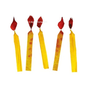 VELAS - Velas de aniversário - Cartão de aniversário com arte botânica para o jardineiro - Arte com flores prensadas, Oshibana, Cartão de jardim