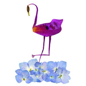 FLAMINGO - Cartão com mensagem botânica, Pássaro tropical, Saudação de jardim - Impressão de arte original de flores prensadas, cartão caprichoso para todas as ocasiões